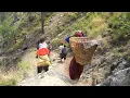 Download Lagu dharme family going down to farm house for a day || Rural Nepal || @ruralnepall
