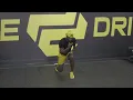 Double Speed Lunge Switch