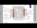 ARM Lecture 13 Programming LCD with Matrix Keypad Interface