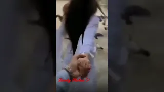                  دندنها