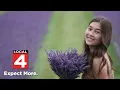 Community comes together to create Hana s Garden in memory of Oxford High School students