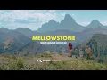 Mellowstone What Summer Should Be Grand Targhee Resort