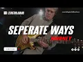 Separate Ways Journey Lexington Lab Band