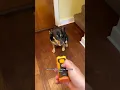 NPS 2023 Release Dog Barking Control Devices - Professional Anti Barking Device