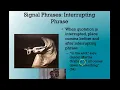 Three Ways to Integrate Sources Using Quotation Marks