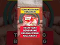 Download Lagu Tikuss dirumah anda keracunan seletah lakukan ini #creatorkampung #tips #tikus