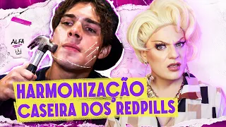 A NOVA MODA DOS REDPILL: Looksmaxxing - Lorelay Fox