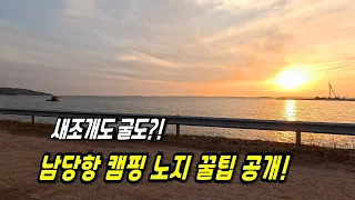 남당항 바닷가 차박 캠핑 노지 리뷰! 새조개 축제 썸네일