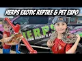 Herps Exotic Reptile Pet Expo