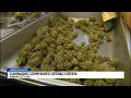 Cannabis companies see green as World Cup fans arrive in Kansas City