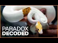 Can We Trust PARADOX Genetics 212
