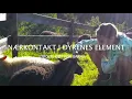 Download Lagu Selstali Seter av Rune Wahlstrøm / visitrjukan.com
