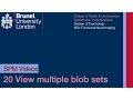 SPM Tutorial 20 - View Multiple SPMs