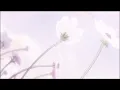 kali uchis & rauw alejandro - no hay ley parte 2 (slowed + reverb)