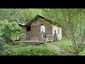 Download Lagu CEO left the city and returned to my small house in the forest to start a new life.