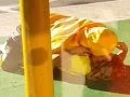 Download Lagu Strangers arrested for having sex in public