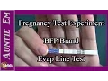 Pregnancy Test Experiment Evap Line Test BFP Brand