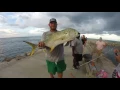 Fort pierce jetty weekend highlights