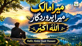 Mera Malik Mera Parwardigar Allah Hu Akbar | Hafiz Abdul Basit Hassani | Lyrical Video