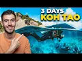The ONLY Koh Tao Itinerary You Will EVER Need!