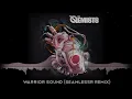 The Qemists - Warrior Sound (SeamlessR Remix)