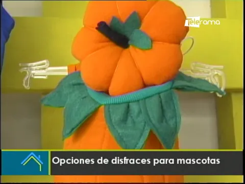 Opciones de disfraces para mascotas