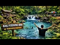 Lagu Kali Kedung Biru Surga Tersembunyi di Sempu Banyuwangi | Wisata Baru di Tengah Hutan Pinus |