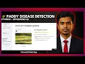 Paddy Disease Detection Platform Deep Learning Project using PyTorch EfficientNet-B3