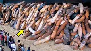 WARGA TAKUT MENDEKAT!! Inilah Kejadian Aneh yang Berhasil Terekam Kamera! 11 Fenomena Aneh di Dunia