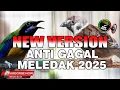 Download Lagu MASTERAN MURAI BATU NEW VERSION, CUCAK CUNGKOK VS GEREJA TARUNG VS KAPAS TEMBAK GACOR JERNIH PANJANG