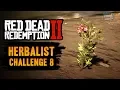 Red Dead Redemption 2 Herbalist Challenge Guide - Use Oleander to craft 6 poison weapons