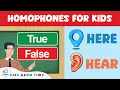 Homophones For Kids - True or False Game