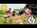 Download Lagu পুকুর থেকে 10 kg কাতলা মাছ ও 5 kg সিঙ্গি মাছ ধরে জমিয়ে খাওয়া-দাওয়া ||