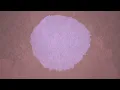Nat King Cole - When I Fall In Love (Visualizer)