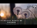 Download Lagu Loving Caliber - It really makes me wonder