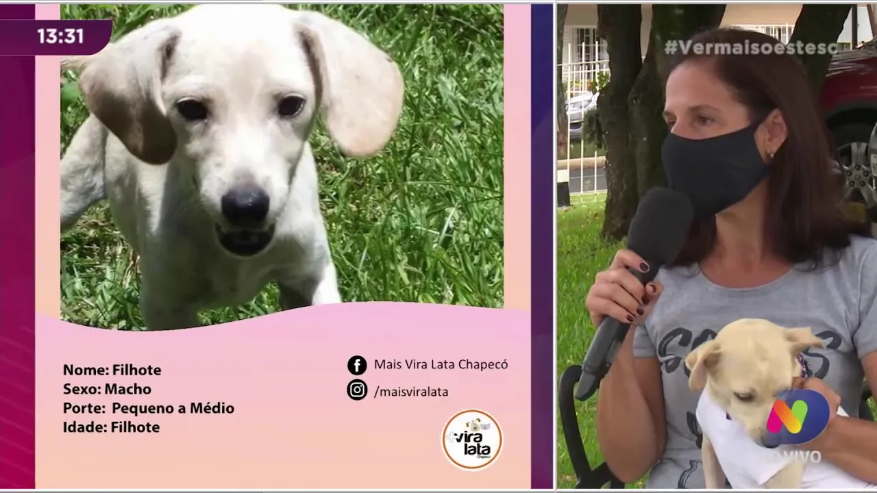 Adoção de animais: Abandono e maus tratos assusta em Chapecó