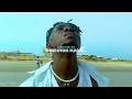 Savage & Victony - Rosemary  // Official Dance by 2face Dancers   #victony