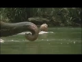 Swimming in a river