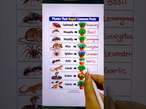 Plants That Repel Common Pests πͺ΄ #plants #pestcontrol #tipsandtricks