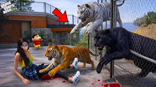 Franklin  Shinchan And Penguin yt  Attacked by Black Panther in His House | Gta 5|#gta5
