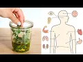 Benefits and Uses of Oregano Oil How To Make It