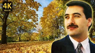 ربيع الخولي على رمش عيونها مع كلمات الاغنية من نوفلن البناء  ربيع الخولي على رمش عيونها مع كلمات الاغنية من نوفلن البناء