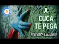 Download Lagu [A Cuca te pega] - Pequeninos Canarinhos