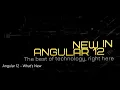Angular 12 - New features what s new in Angular 12 DynamicBees