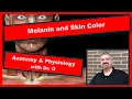 Melanin and Skin Color Anatomy and Physiology