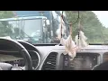 Town of Brookhaven Mack LR McNeilus Garbage Truck E8 passes by