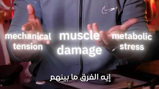                                                         دندنها