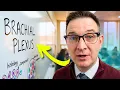 Brachial Plexus Simplified The Complete Nerve Network
