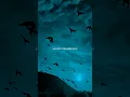 Download Lagu Heat waves - glass animals | lyrics | aesthetic | Whatsapp status | slowed | speed up | audio