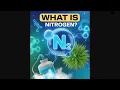 Nitrogen Cycle Explained How Nature Recycles Life s Most Important Element
